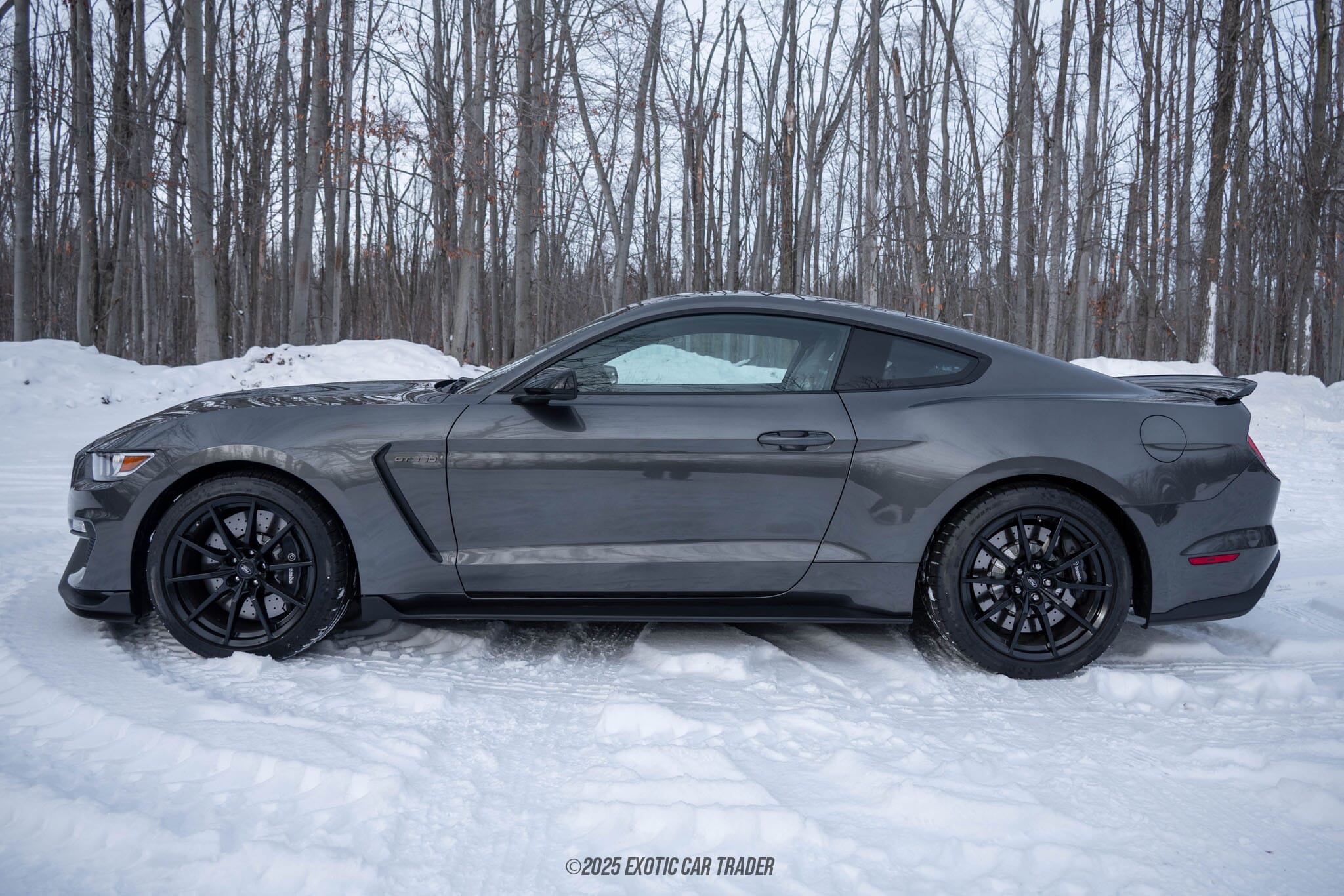 2015 Ford Mustang Shelby GT350 50th Anniversary