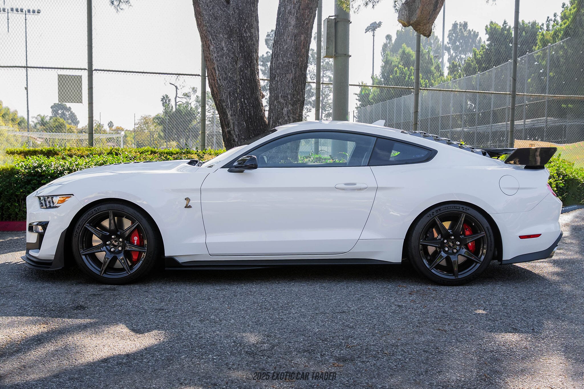 2022 Ford Mustang Shelby GT500