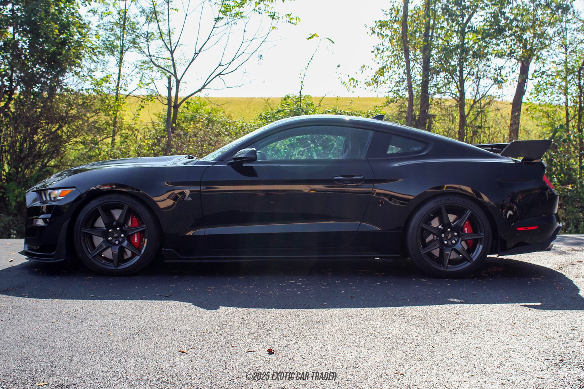 2022 Ford Mustang Shelby GT500